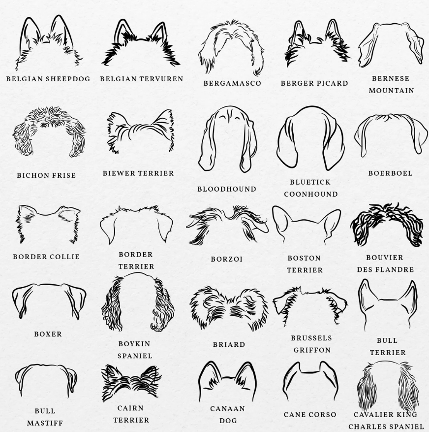 Dog Ears