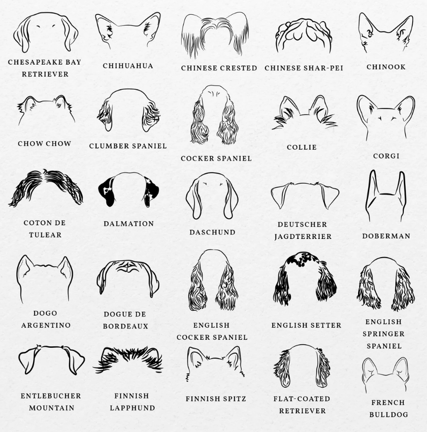 Dog Ears