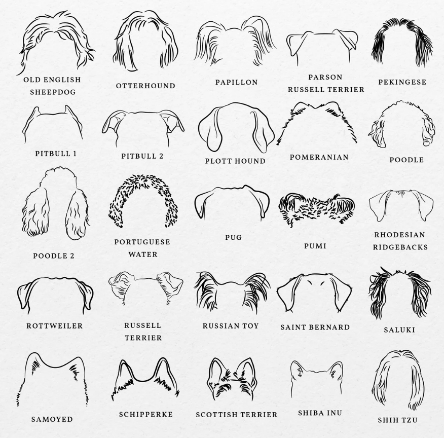 Dog Ears