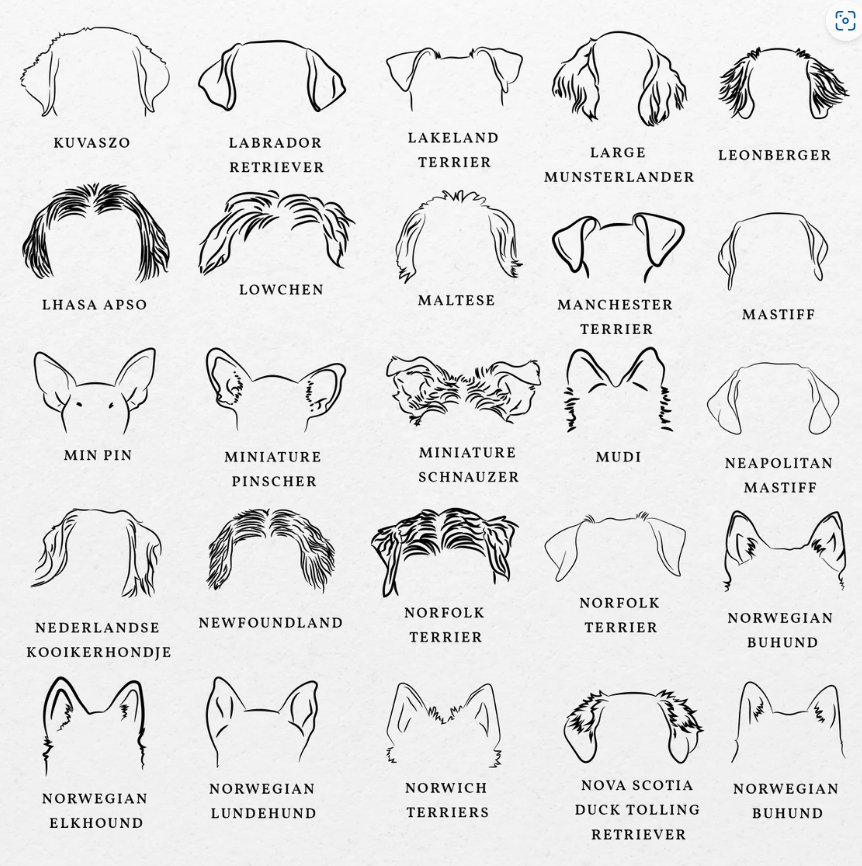 Dog Ears