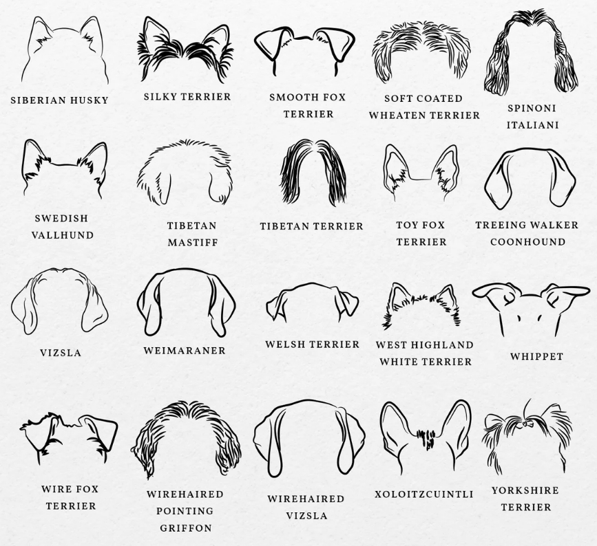 Dog Ears